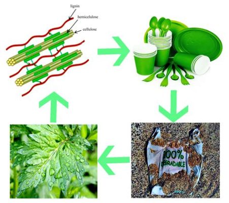  Cellulosabaserad Bioplast – En revolution för hållbar plastproduktion?