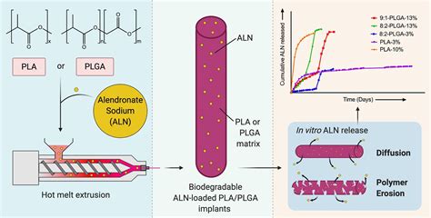  Lactic Acid - Den fantastiska polymeren för biologiska implantat och läkemedelsfrisättning!