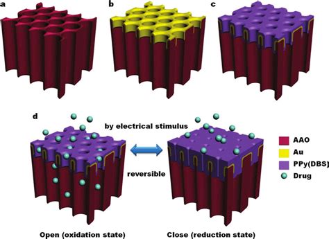  Nanoporösa Material – En Revolution i Katalysatorer och Membranfiltrering!