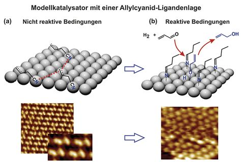  Rhenium:  Effektiv Katalysator i Högeffektiva Batterier och Starka Superlegeringar!