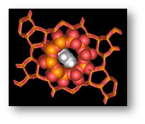  Zéoliter - Nanoporösa Material för Katalysatorer och Gasseparation!